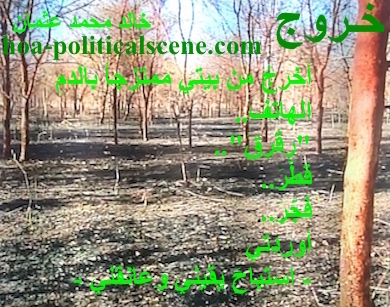 hoa-politicalscene.com - HOAs Design Gallery: Poetry from "Exodus", by poet & journalist Khalid Osman on trees drying in the Dinder & Rahad Natural Reserve, Sudan.