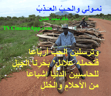 hoa-politicalscene.com - HOAs Design Gallery: Couplet of political poetry from "Nimoli and the Fresh Love", by poet and journalist Khalid Mohammed Osman on the southern sudanese boda-boda.