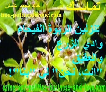 hoa-politicalscene.com - HOAs Design Gallery: Couplet of political poetry from "Consistency", by poet and journalist Khalid Mohammed Osman designed on flower and plant species.