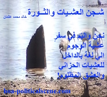 hoa-politicalscene.com - HOAs Design Gallery: Poetry from "Evening Yearning and Revolution", by poet & journalist Khalid Osman on fresh water bird species in the Dinder & Rahad Natural Reserve, Sudan.
