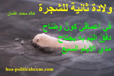 hoa-politicalscene.com - HOAs Design Gallery: Couplet of poetry from "Second Birth of the Tree", by poet and journalist Khalid Mohammed Osman on polar bear swimming through the melting ice.