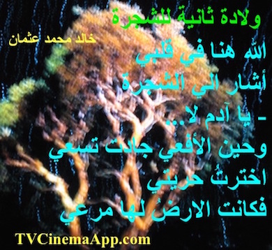 hoa-politicalscene.com - HOAs Gallery: Couplet of political poetry from "Second Birth of the Tree", by poet and journalist Khalid Mohammed Osman designed on the tree of life and creation.