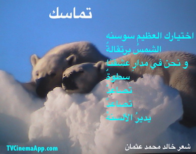 hoa-politicalscene.com - HOAs Gallery: Couplet of political poetry from "Consistency", by poet and journalist Khalid Mohammed Osman designed on a beautiful picture of polar bears.