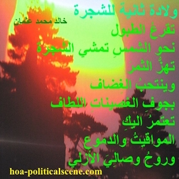 hoa-politicalscene.com - HOAs Gallery: Couplet of political poetry from "Second Birth of the Tree", by poet and journalist Khalid Mohammed Osman designed on beautiful sunrise over trees.