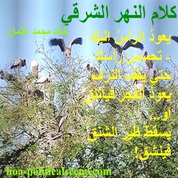 hoa-politicalscene.com - HOAs Imagery Poems: from "Speech of the Eastern River", by poet & journalist Khalid Mohammed Osman on greenery & bird species, Dinder & Rahad natural reserve, Sudan.