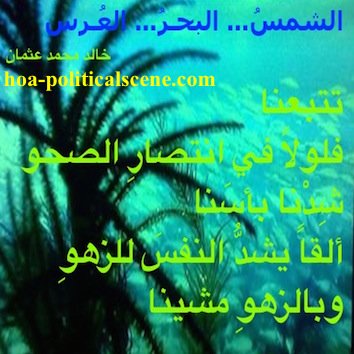 hoa-politicalscene.com - HOAs Imagery Poems: Couplet of poetry from "The Sun, the Sea, the Wedding", by poet and journalist Khalid Mohammed Osman on turquoise sea view between trees.
