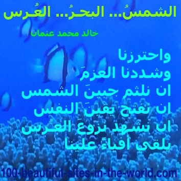 hoa-politicalscene.com - HOAs Imagery Poems: Couplet of poetry from "The Sun, the Sea, the Wedding", by poet and journalist Khalid Mohammed Osman on underwater view of blue sea.