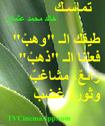 hoa-politicalscene.com/hoas-images.html - HOAs Images: Couplet of poetry from "Consistency", by poet and journalist Khalid Mohammed Osman on beautiful flat green leaves.