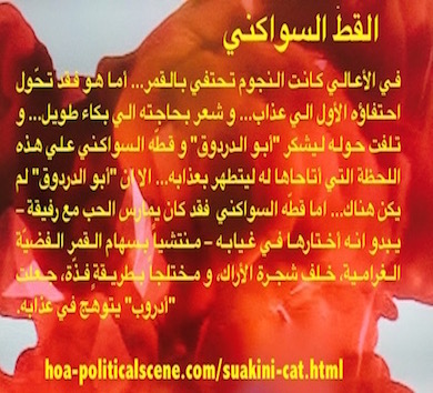 hoa-politicalscene.com - HOAs Literary Works: Short story scripture from the "Suakini Cat", by short story writer and journalist Khalid Mohammed Osman on beautiful orange image.