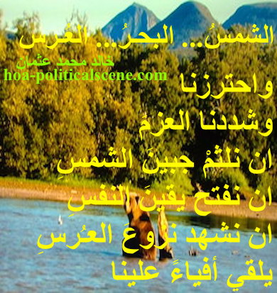 hoa-politicalscene.com - HOAs Literary Works: Poetry from "The Sun, the Sea, the Wedding", by poet & journalist Khalid Mohammed Osman on bears at the sea coast with trees and mountains view.