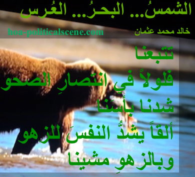 hoa-politicalscene.com - HOAs Literary Works: Couplet of poetry from "The Sun, the Sea, the Wedding", by poet and journalist Khalid Mohammed Osman on a bear fishing on a sea coast.