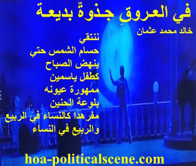 hoa-politicalscene.com - HOAs Literature: Couplet of poetry from "Exquisite Flame in the Veins", by poet and journalist Khalid Mohammed Osman on romantic evening picture.