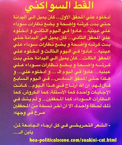 hoa-politicalscene.com - HOAs Literature: Snippet of short story from the "Suakini Cat", by short story writer, poet and journalist Khalid Mohammed Osman on coloured template.