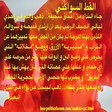 hoa-politicalscene.com - HOAs Literature: Snippet of short story from the "Suakini Cat", by short story writer, poet and journalist Khalid Mohammed Osman designed on beautiful coloured image.