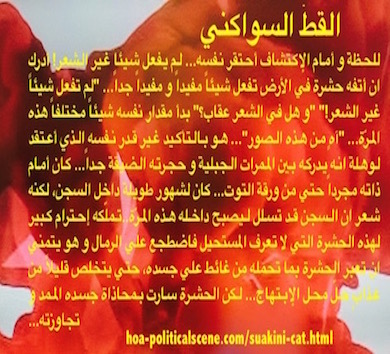 hoa-politicalscene.com - HOAs Literature: Snippet of short story from the "Suakini Cat", by short story writer, poet and journalist Khalid Mohammed Osman on orange desing.