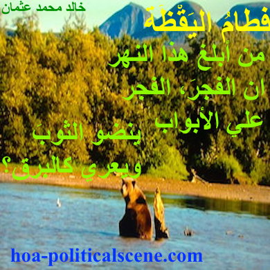 hoa-politicalscene.com - HOAs Lyrics: from "Weaning of Vigilance" by poet & journalist Khalid Mohammed Osman on beautiful picture of cliffs, forest, river and wolves.
