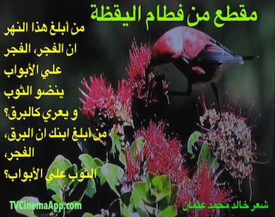 hoa-politicalscene.com - HOAs Photo Gallery: Couplet of love poetry from "Weaning of Vigilance", by poet and journalist Khalid Mohammed Osman designed on beautiful picture.