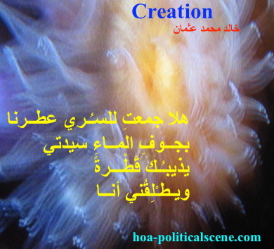 hoa-politicalscene.com - HOAs Picture Gallery: Couplet of poetry from "Creation", by poet and journalist Khalid Mohammed Osman on coral reefs shaping underwater.