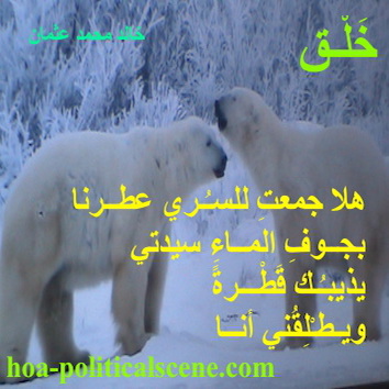 hoa-politicalscene.com - HOAs Poems: Couplet of poetry from "Creation", by poet and journalist Khalid Mohammed Osman on polar bears' intimacy, showing the intimacy in the mammal world.