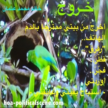 hoa-politicalscene.com - HOAs Poems: Couplet of poetry from "Exodus", by poet and journalist Khalid Mohammed Osman on a picture of a macaw in the Amazon Rainforest.