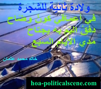 hoa-politicalscene.com - HOAs Poems: Couplet of poetry from "Second Birth of the Tree", by poet and journalist Khalid Mohammed Osman on a picture from the Camargue, Aries, France.