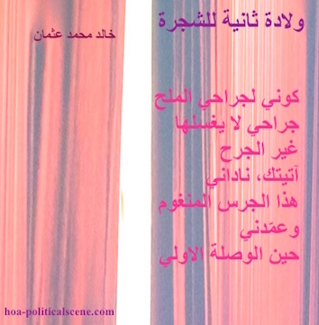 hoa-politicalscene.com - HOAs Poems: Couplet of poetry from "Second Birth of the Tree", by poet and journalist Khalid Mohammed Osman on a theatre curtain.