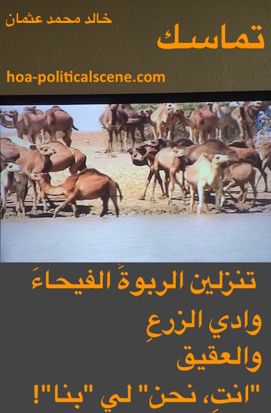 hoa-politicalscene.com - HOAs Poesy: from "Consistency", by poet & journalist Khalid Mohammed Osman on camels on the Dinder and Rahad valley in Sudan.