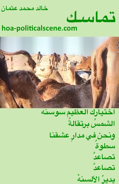 hoa-politicalscene.com - HOAs Poesy: from "Consistency", by poet & journalist Khalid Mohammed Osman on camels on the Beja's livestock in Sudan.