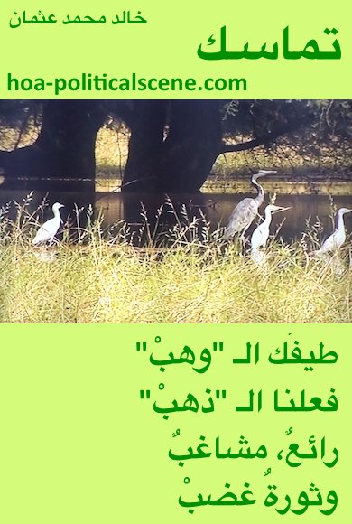 hoa-politicalscene.com - HOAs Poesy: from "Consistency", by poet & journalist Khalid Mohammed Osman on camels on bird species in the Dinder and Rahad garden, Sudan.
