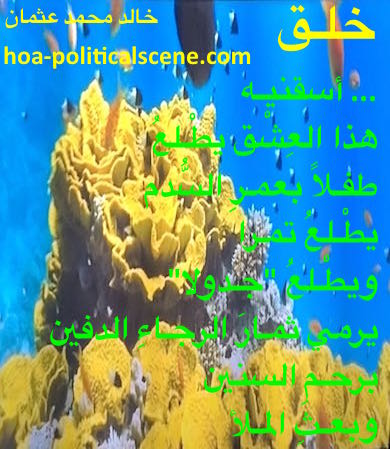 hoa-politicalscene.com - HOAs Poesy: from "Creation", by poet & journalist Khalid Mohammed Osman on coral reefs underwater.