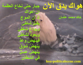 hoa-politicalscene.com - HOAs Poetry Aesthetics: Couplet of poetry from "Your Love is Beating Now", by poet and journalist Khalid Mohammed Osman on polar bear getting out of the melting ice.