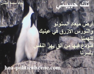 hoa-politicalscene.com - HOAs Poetry: Couplet of poetry from "That is My Love", by poet and journalist Khalid Mohammed Osman on birds' nest between rocks of a mountain.