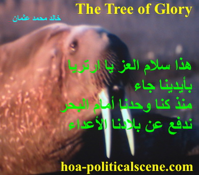 hoa-politicalscene.com - HOAs Poetry: Couplet of poetry from "The Tree of Glory", by poet and journalist Khalid Mohammed Osman on walrus in the North Pole, Arctic Circle.
