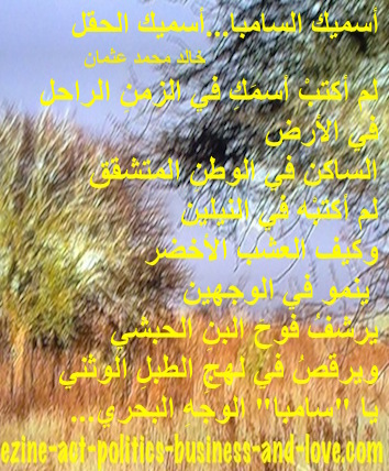 hoa-politicalscene.com - HOAs Poetry: Couplet of poetry from "I Call You Samba, I Call You a Field", by poet and journalist Khalid Mohammed Osman on a picture from the Savannah.