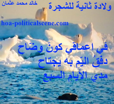 hoa-politicalscene.com - HOAs Poetry Scripture: from "Second Birth of the Tree,", by poet & journalist Khalid Mohammed Osman on a picture of polar bears standing on the ice of the Arctic.