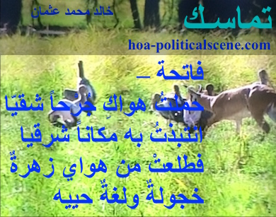 hoa-politicalscene.com - HOAs Political Poetry: from "Consistency", by poet and journalist Khalid Mohammed Osman on bird and animal species in the Dinder and Rahad forest, Sudan.