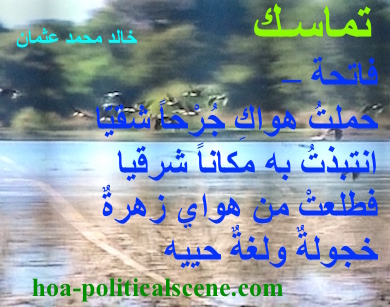hoa-politicalscene.com - HOAs Political Poetry: from "Consistency", by poet and journalist Khalid Mohammed Osman on Birds, water and greenery in the Dinder and Rahad reserve, Sudan.