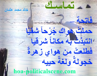 hoa-politicalscene.com - HOAs Political Poetry: from "Consistency", by poet and journalist Khalid Mohammed Osman on picture of heron bird species, Dinder and Rahad Reserve, Sudan.
