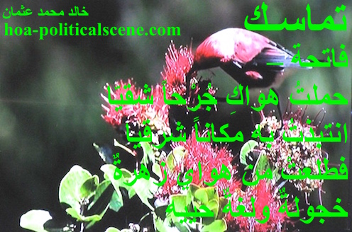 hoa-politicalscene.com - HOAs Sacred Poetry: from "Consistency", by poet & journalist Khalid Mohammed Osman on a honey eater, a bird feeding on flowers and honey.