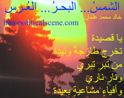 hoa-politicalscene.com - HOAs Sacred Poetry: "The Sun, the Sea, the Wedding", by poet & journalist Khalid Mohammed Osman on beautiful sunset over the trees. The sun looks like a piece of orange.