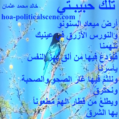 hoa-politicalscene.com - HOAs Sacred Poetry: from "That's My Love", by poet & journalist Khalid Mohammed Osman on bird species of eastern Sudan in the Dinder and Rahahd natural reserve.