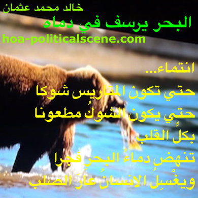 hoa-politicalscene.com - HOAs Sacred Poetry: from "The Sea Fetters in Its Blood", by poet & journalist Khalid Mohammed Osman on a wolf fishing at the break of the ocean water on the coast.
