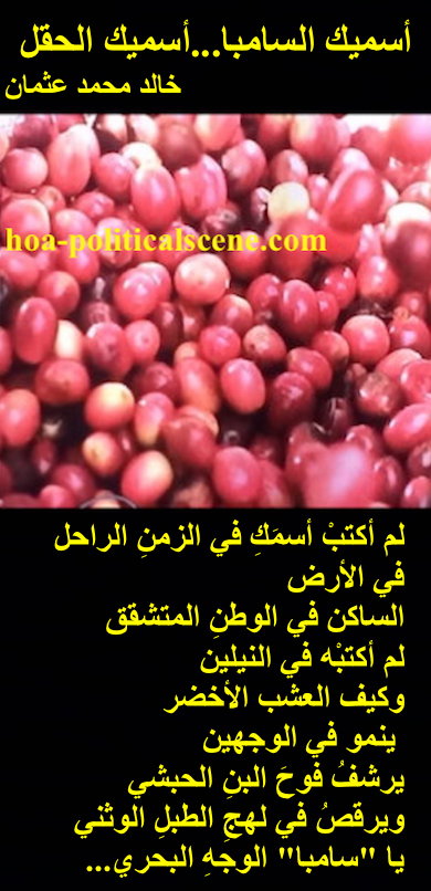 hoa-politicalscene.com - HOAs Sacred Scripture: from "I Call You Samba, I call You a Field", by poet & journalist Khalid Mohammed Osman on Eritrean coffee with all the custom beauty of customs.