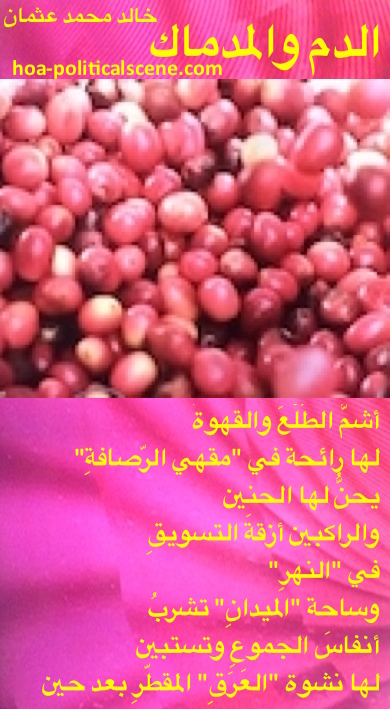 hoa-politicalscene.com - HOAs Scripture: from "The Blood and the Course", for Baghdad, by poet & journalist Khalid Mohammed Osman on coffee fruits on beautiful backgrounds.
