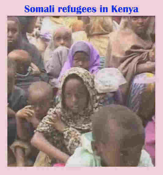 hoa-politicalscene.com/somali-refugees.html: Somali Refugees in Kenya.