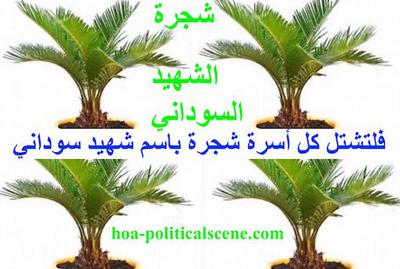 hoa-politicalscene.com/sudanese-martyrs-day-comments.html - The #dynamic_idea of the #Sudanese_Martyrs_Tree is by #Khalid_Mohammed_Osman.